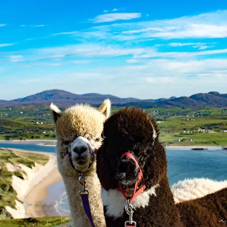 Bree House Highly Recommended For Reunions Groups *